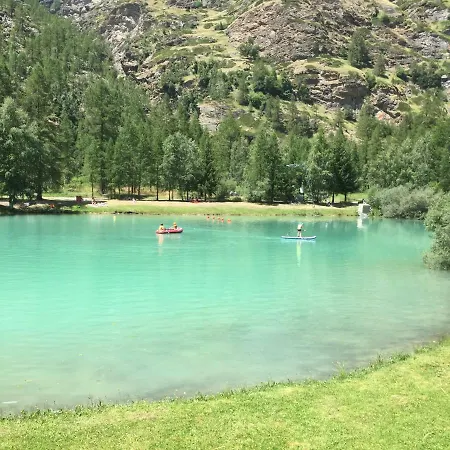 Monte Rosa D 412 Täsch